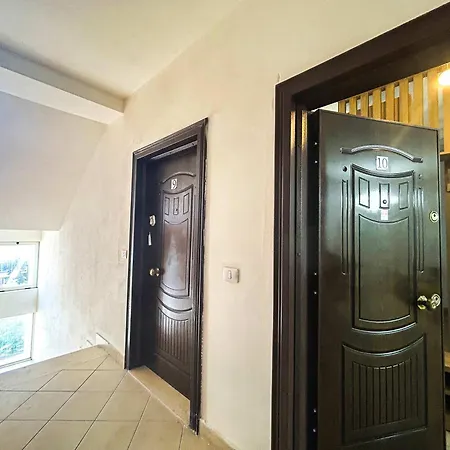 Coral Breeze Haven H25 골렘