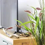 Coral Breeze Haven H25 Lejlighed Golem (Tirana)