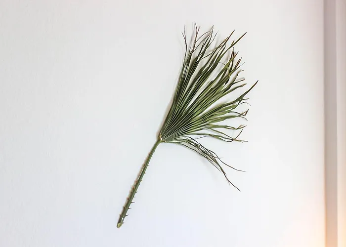 Coral Breeze Haven H25 Lägenhet *